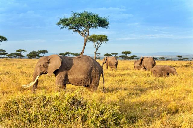 národní park Tsavo East