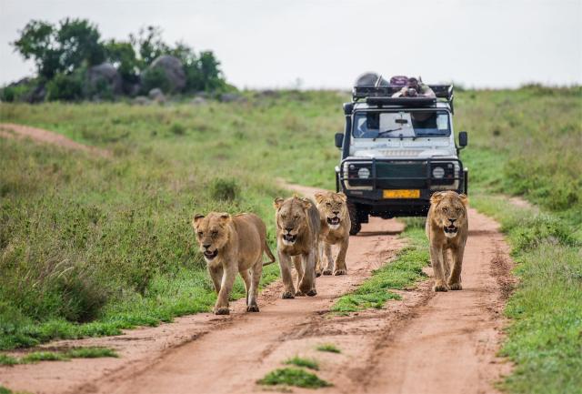 národní park Tsavo East