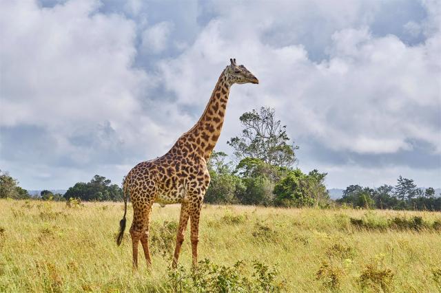 národní park Tsavo East