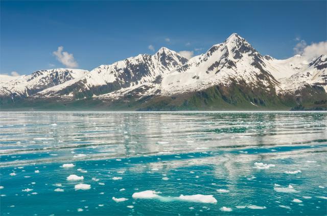 USA - Aljaška, národní park Kenai
