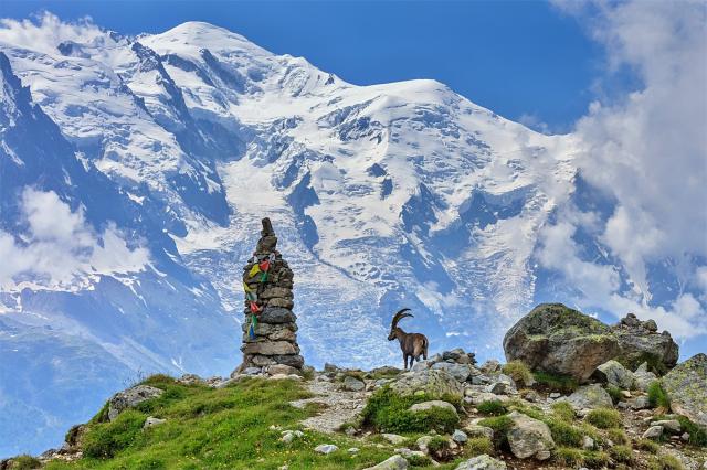 výhled na Mont Blanc (4 810 m)