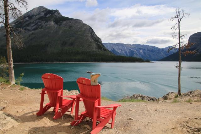 NP Banff