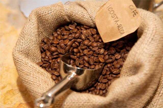 Kostarika_coffee2_dreamstime_xl_23315509