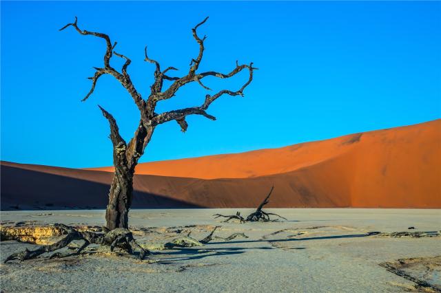 shutterstock_485241808