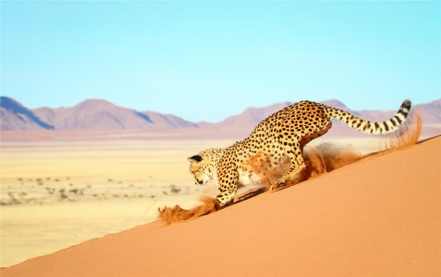 shutterstock_1410156923