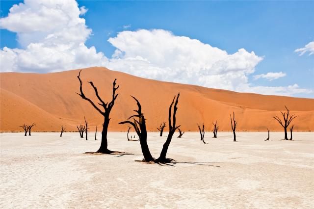 shutterstock_190688849