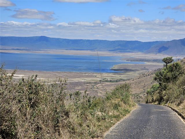 Ngorongoro