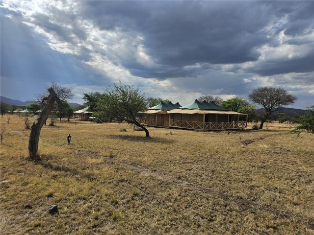 Dvě noci je naším domovem komfortní lodge v centru NP Serengeti