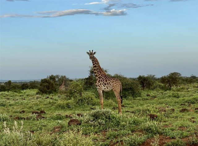 Keňa, Tanzánie - Pohodový týden pod nejvyšší horou Afriky – Kil