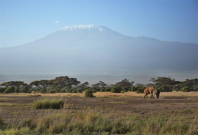 Kilimanjaro - Uhuru Peak (5 895m)