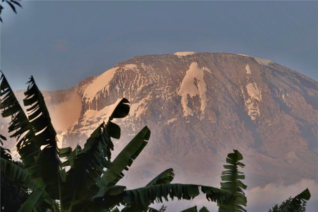 Mt. Kilimanjaro z oblasti tanzanské džungle