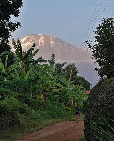 Ráno a v podvečer vystupuje z oblaků africká dominanta, která k