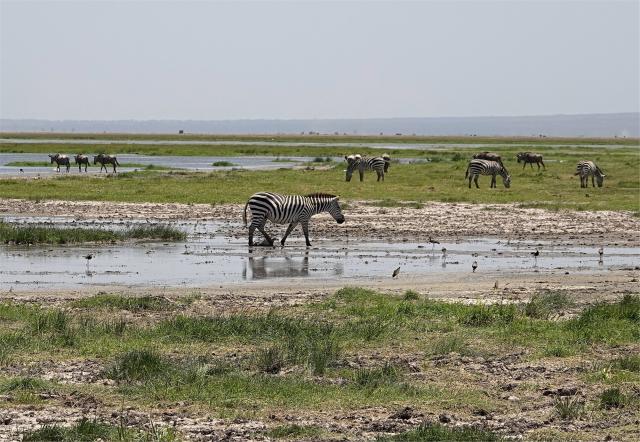Keňa, Tanzánie - Pohodový týden pod nejvyšší horou Afriky – Kil