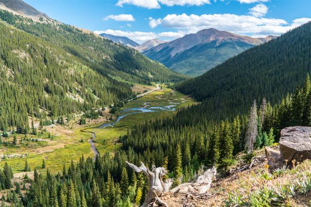 Kanada - Aspen
