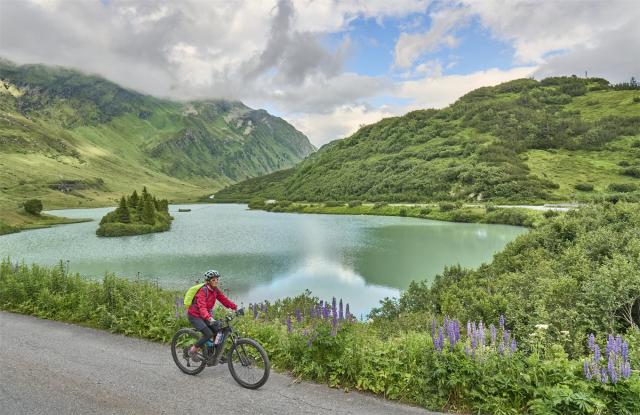 Silvreta na kole