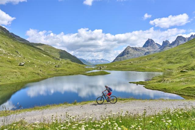 Silvreta na kole