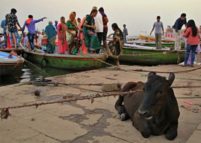 Indie - město Varanasi