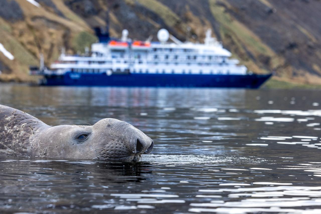 Rypouš je dalším z "obyvatel" oblasti Falklandských ostrovů