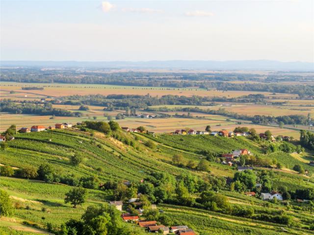 Slovinsko na kole - Vinice Lendava