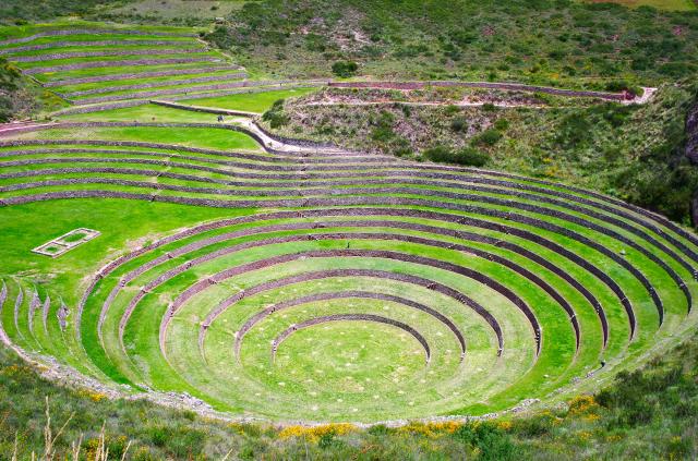 napric peru 17