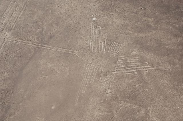 napric peru 19