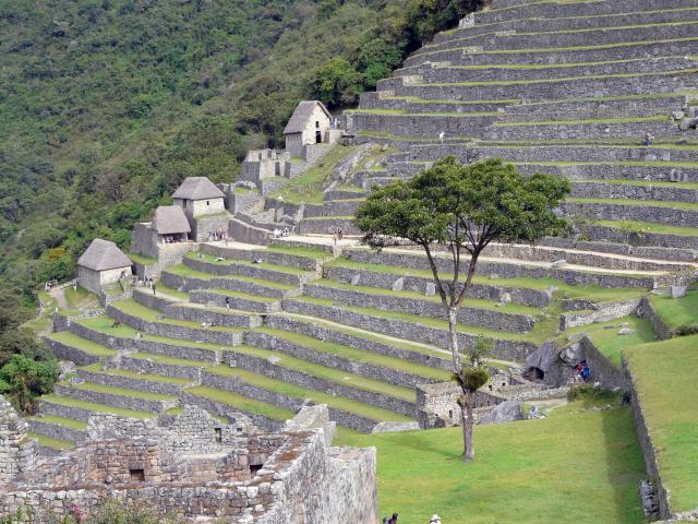 napric peru 22