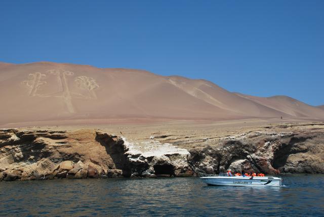 napric peru 04