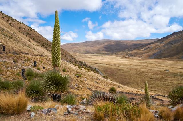 severni peru 08
