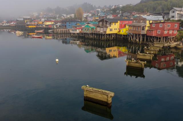 31562835 xxl chiloe