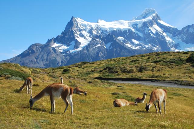 patagonie 16