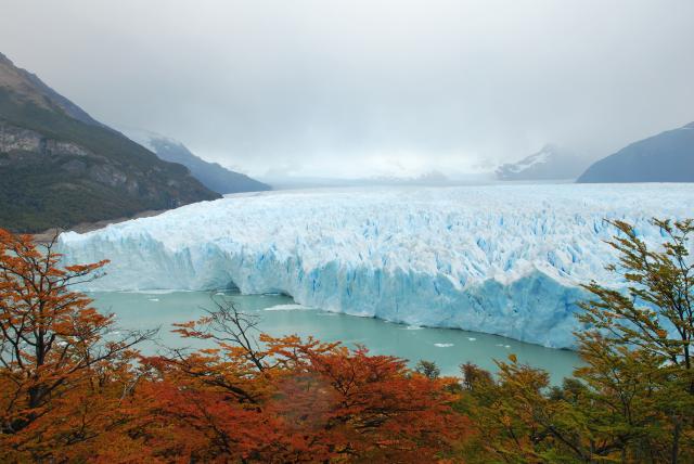 led ohen patagonie 16