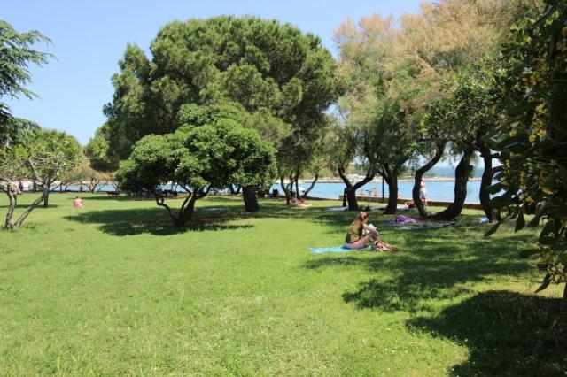Novigrad - pláž