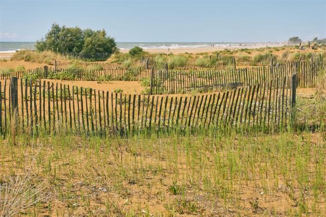 Bibione