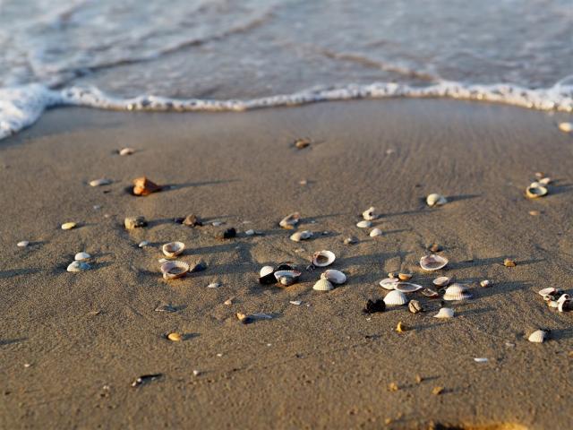 Bibione