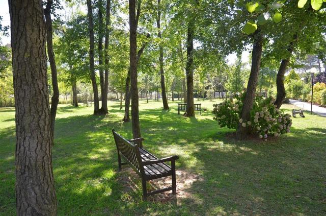 Apartmány PINEWOOD, Itálie - Region Veneto - Bibione, zobrazení