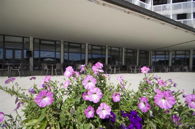 Hotel ADRIA, Vela Luka