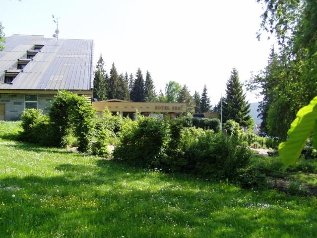 Srní