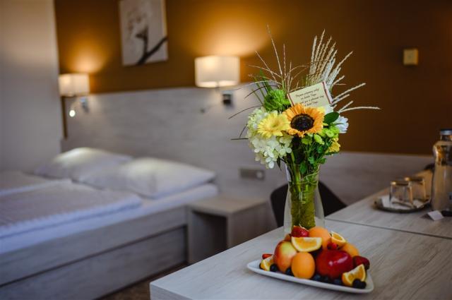 Hotel VEGA, Česko - Východní Morava - Luhačovice, zobrazení vyb
