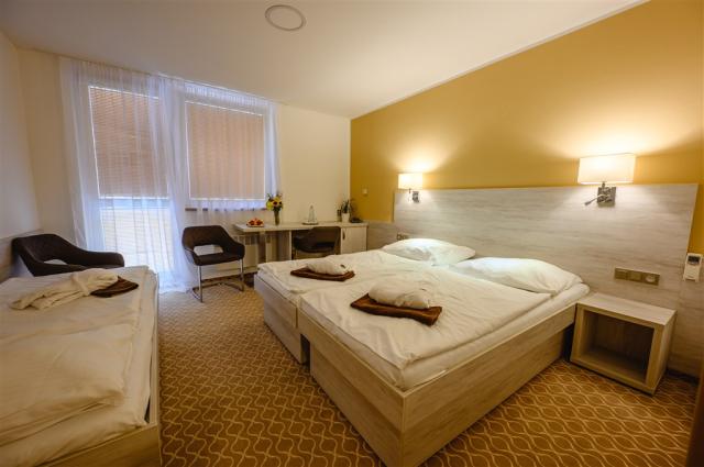 Hotel VEGA, Česko - Východní Morava - Luhačovice, zobrazení vyb
