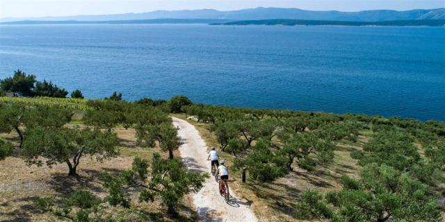 Hotel BLUESUN ELAPHUSA, Chorvatsko - Ostrov Brač - Bol, zobraze