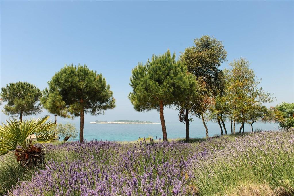ISLAND Hotel ISTRA, Rovinj