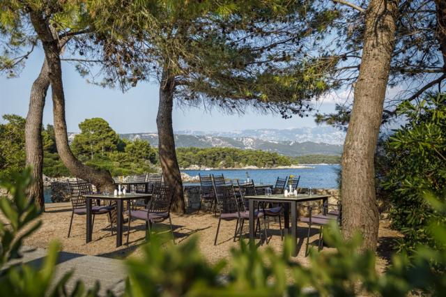 Hotel a vily VALAMAR CAROLINA, Suha Punta