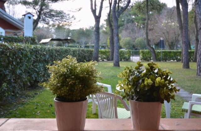 Villaggio delle MEDUSE, Itálie - Region Veneto - Bibione, zobra
