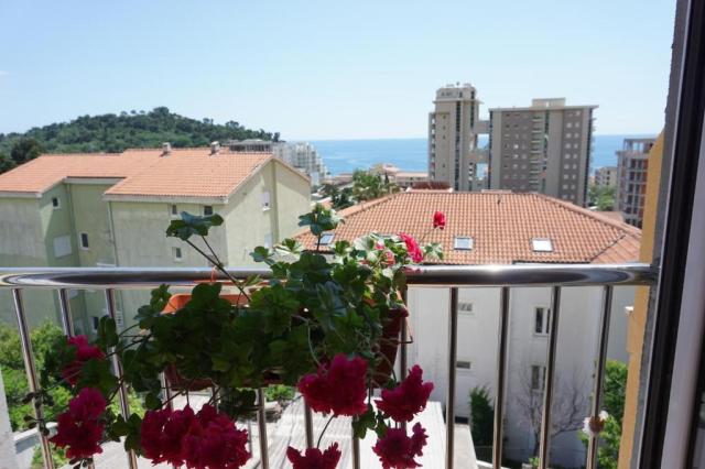 VILA LENA, Petrovac