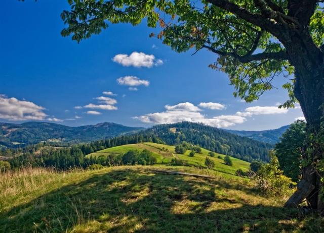 NAT Wisla