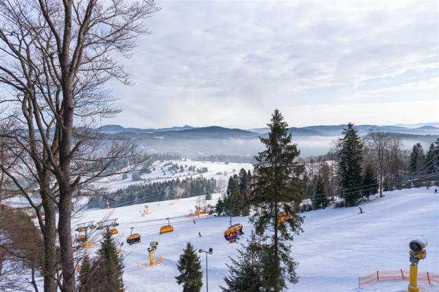 Henryk Ski