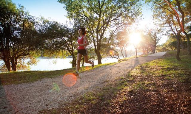 Pokoje CAMPING SOLARIS - FKK, Chorvatsko - Istrie - Poreč - Lan