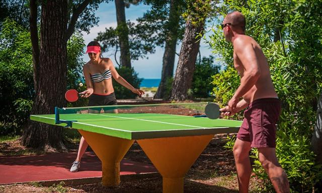 Pokoje CAMPING SOLARIS - FKK, Chorvatsko - Istrie - Poreč - Lan