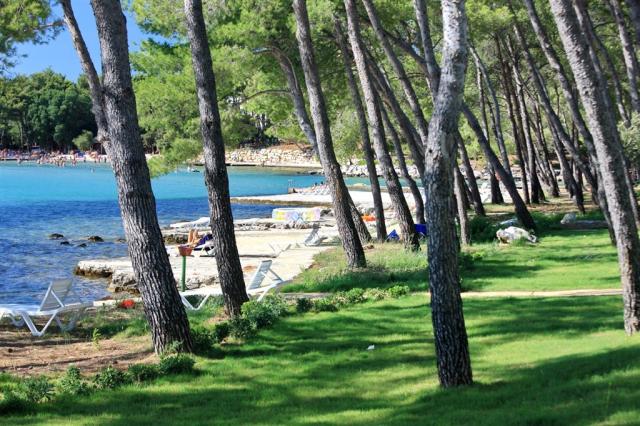 Apartmány CRVENA LUKA, Chorvatsko - Severní Dalmácie - Crvena L