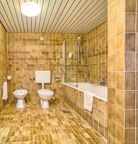 Hotel ISTRA, Chorvatsko - Istrie - Brijuni, zobrazení vybavení 